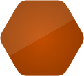 Icon color brown
